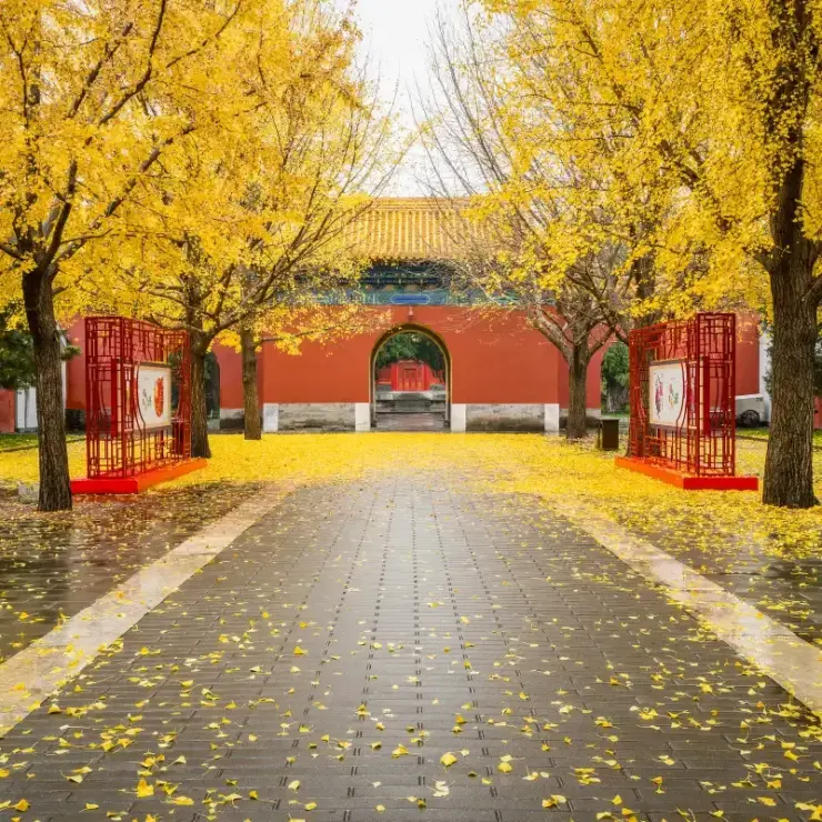 “Live Like an Expat”: Local Parks, Coffee Culture, and Art in Shanghai
