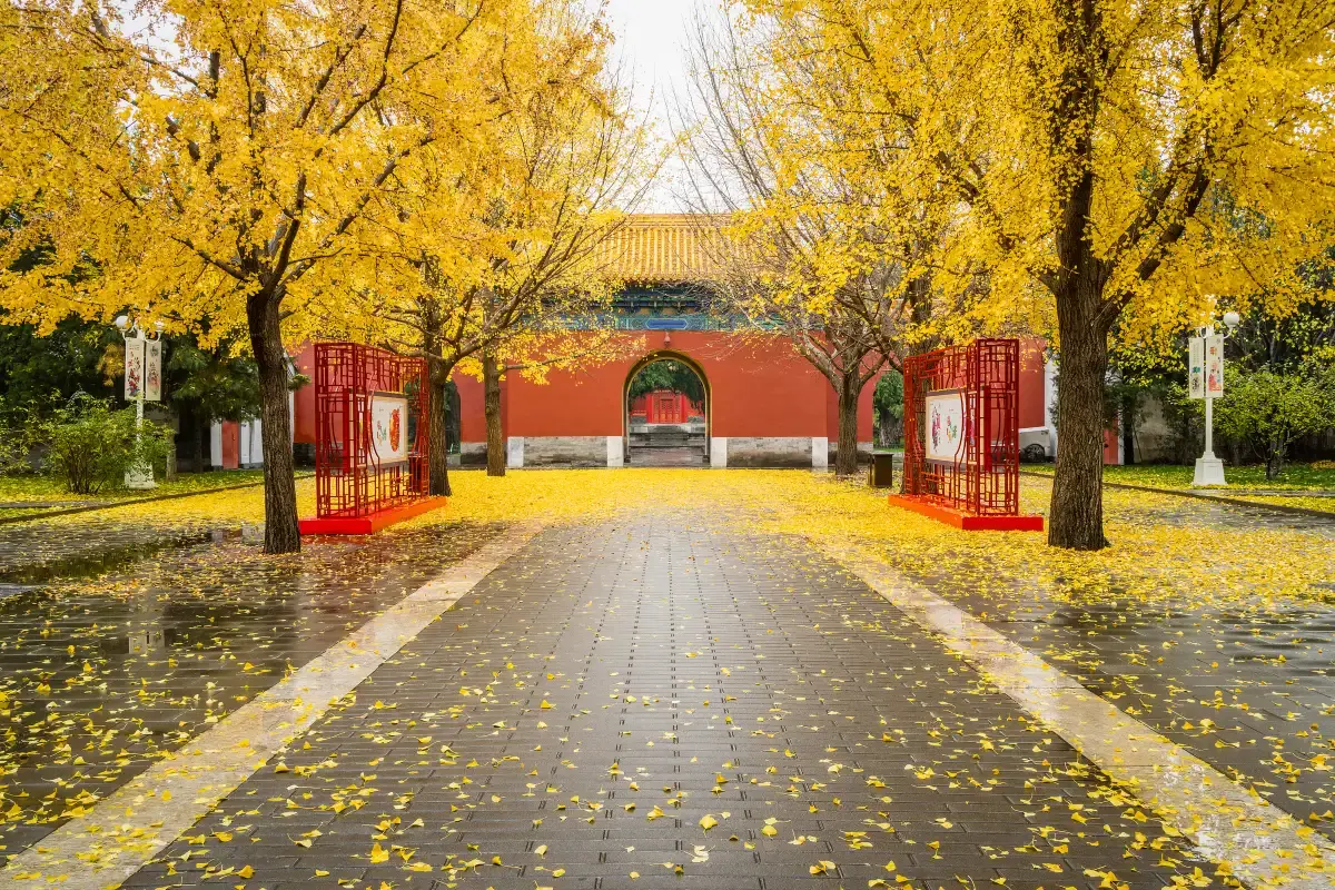 “Live Like an Expat”: Local Parks, Coffee Culture, and Art in Shanghai